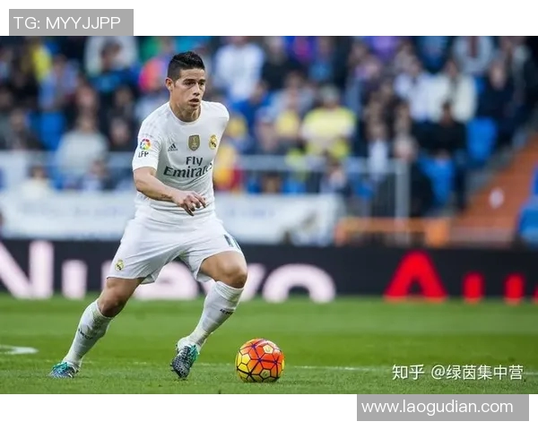 昔日王者世界杯预选赛状态下滑背后原因解析与未来发展路径探索